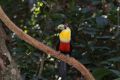 Reisetipp Parque das Aves