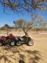 Reisetipp Jeep Safari Sousse