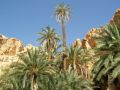 Reisetipp Safari Sousse