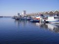 Reisetipp Fischereihafen Mahdia
