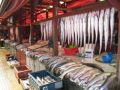 Reisetipp Fischmarkt in Angelmo