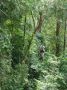 Reisetipp Canopy Tour