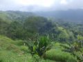 Reisetipp Refugio Nacional de Vida Silvestre Caño Negro