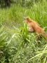 Reisetipp Curu National Wildlife Refuge