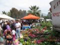 Reisetipp Markt Eretria