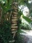 Reisetipp Palmengarten