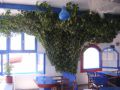 Reisetipp Taverne Captain Markos