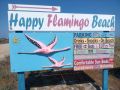 Happy Flamingo Beach