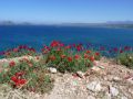 Reisetipp Navarino