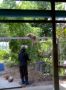 Reisetipp Monkey School Surat Thani