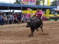 Reisetipp Buffalo Racing
