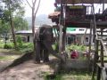Reisetipp Elefantenreiten Bang Tao Bay