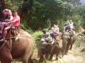 Reisetipp Elefantenreiten Klong Phrao Beach