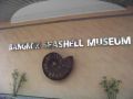 Reisetipp Seashells Museum