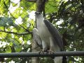 Reisetipp Wildlife Rescue Center