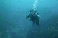 Reisetipp Tauchschule Samui-Asia-Divers