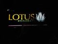 Reisetipp Lotus Restaurant