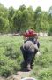 Reisetipp Hua Hin Safari &amp; Adventure Park