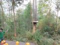 Reisetipp Jungle Flight