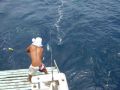 Reisetipp Big Game Fishing