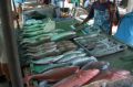 Reisetipp Fischmarkt