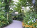 Reisetipp Lost Gardens of Heligan