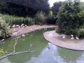 Reisetipp Bristol Zoo Gardens