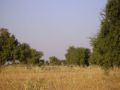 Reisetipp Jeep Safari Rohat