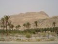 Reisetipp Oase von Ein Gedi