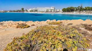 Nissi Strand Mit Bus Hingefahren Bild Nissi Beach In Agia Napa Ayia Napa