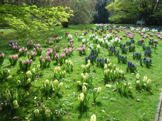 Botanischer Garten Im Stadtpark Gutersloh In Gutersloh Holidaycheck