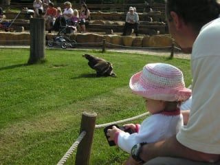 Bewertungen Neunkircher Zoologischer Garten In Neunkirchen