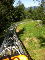 Bilder Alpine Coaster Kolbensattel Oberammergau Bayern Deutschland