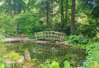 Botanischer Garten Der Universitat Tubingen In Tubingen Holidaycheck