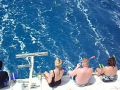 Reisetipp Schnorcheltour