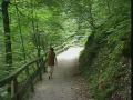 Reisetipp Salzkammerweg