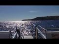 Reisetipp Starship Boat