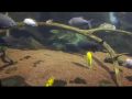 Reisetipp Im Aquarium