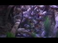Reisetipp Im Aquarium