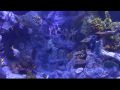 Reisetipp Im Aquarium