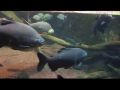Reisetipp Im Aquarium