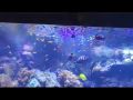 Reisetipp Im Aquarium