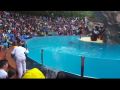 Reisetipp Seelöwen Show