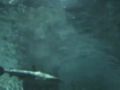 Reisetipp Unterwassertunnel