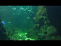 Reisetipp Aquarium
