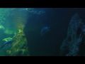 Reisetipp Aquarium