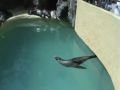 Reisetipp Loro Parque