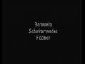 Mit Schwimmflossen fischend