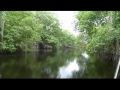 Black-River