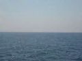 Reisetipp Delphine